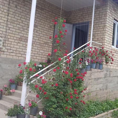 Guest House Kyzyl Alma Arkit Eksteriør bilde